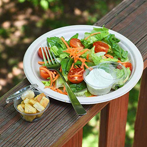 2 oz Eco Friendly Portion Cups with Lids,100 Pcs Biodegradable Jello Shot Cups Condiment Containers,Sauce Containers with Lids