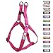 Pawtitas Extra Small Dog Harness Pink Dog Harness Step in from a Senior Dog to a Puppy Harness Adjustable Reflective Dog Harness XS Reflective Dog Vest