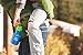 Klean Kanteen Kid Kanteen Classic Sport Single Wall Stainless Steel Kids Water Bottle with Sport Cap 3.0 Sport Cap