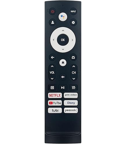 Amazon.com: New EN-83801 Replace Remote fit for HISENSE EN83801 TV