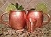 Whalehead Moscow Mule Copper Mugs - 100% Pure, Heavy Gauge, Solid Copper Mugs (1/2 lbs each) - Handcrafted, Stylish & Authentic Copper Moscow Mule Mugs with Hammered Finish - Set of 2, 16 Oz Volume