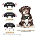Allenker Bark Collar Rechargeable – Smart Detection Dog Bark Collar with 3 Correction Modes: Beep Vibration Harmless Shock – Waterproof No Bark Collar For Small Dogs,Meduim and Large Dogsthumb 1