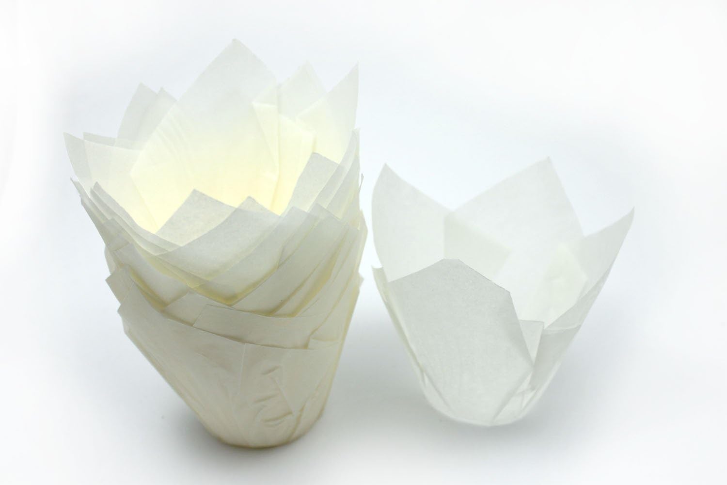 50 White Tulip Muffin Wraps by Bakery direct