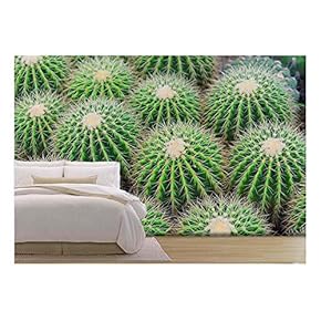 View of a Cactus - Removable Wall Mural | Self-Adhesive Large Wallpaper - 66x96 inches