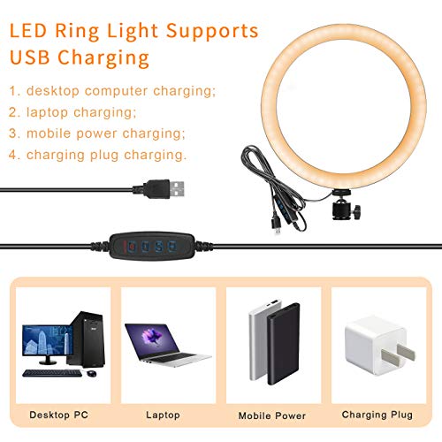 Ring Light 10" with Tripod Stand & Phone Holder for Live Streaming & YouTube Video, Dimmable Desktop LED Makeup Ring Light for Studio, Photography with 3 Light Modes & 10 Brightness Level