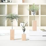 Danmu 3pcs (3 Sizes) Wood Stand Air Plant Holder, Air Plant Display, Airplant Container, Air Plant Frame, Tabletop Planter, Tillandsia Planter