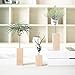 Danmu 3pcs (3 Sizes) Wood Stand Air Plant Holder, Air Plant Display, Airplant Container, Air Plant Frame, Tabletop Planter, Tillandsia Planter primary