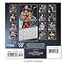 2020 WWE Wall Calendar, Mini Calendar (DDMN382820)