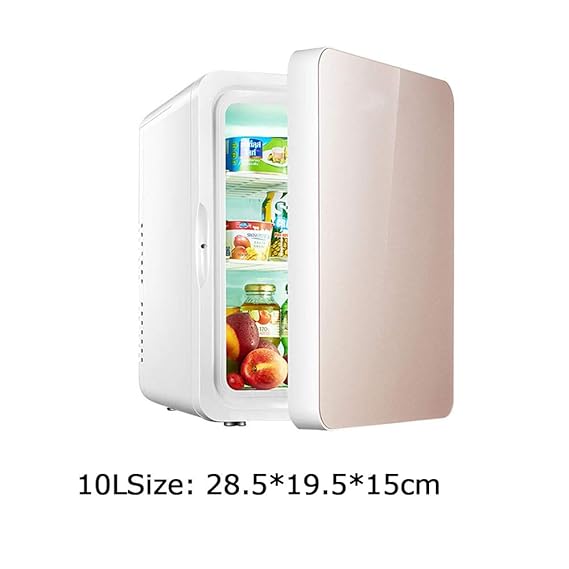 JLWF Mini Nevera Eléctrica Caja Fría 12V 240V para El Coche Y El ...
