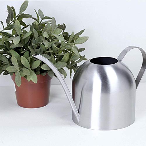 Watering Can Indoor Plants,1500ml/50oz Silver Long Spout Stainless Steel Decorative Sturdy Metal