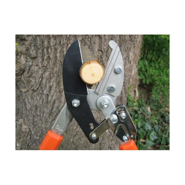 Gartenpaul Teleskop Astschere mit 6-Fach verstellbaren Griffen | Amboss Klingensystem mit Antihaftbeschichtung… – Bild 4
