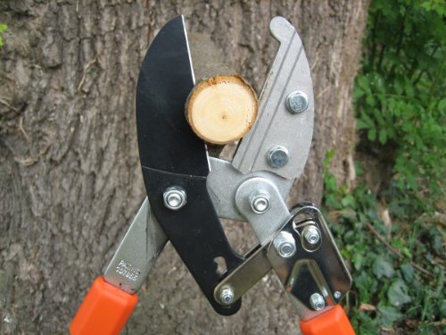 Gartenpaul Teleskop Astschere mit 6-Fach verstellbaren Griffen | Amboss Klingensystem mit Antihaftbeschichtung… – Bild 4