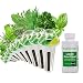 AeroGarden Gourmet Herb Seed Pod Kits, 9 primary