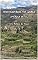 Livro Rediscovering the World: América do Sul (Relatos de viagem)