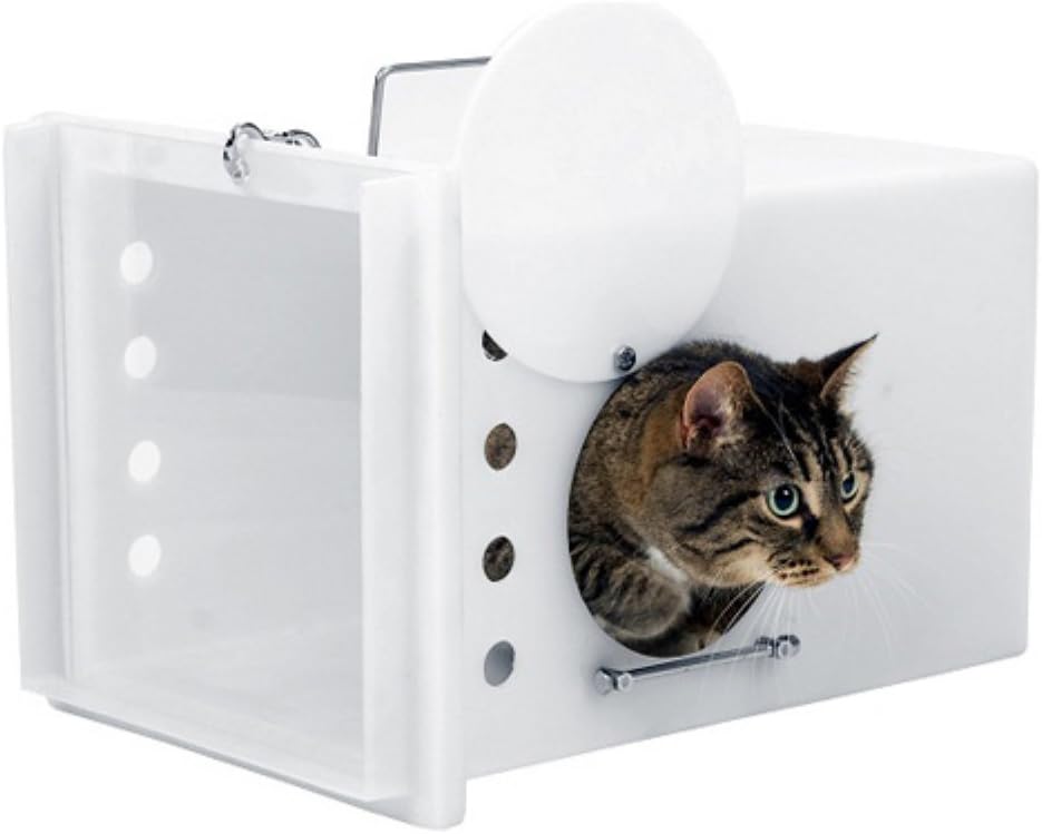 royal canin recovery cat