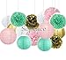 Sopeace Pack of 15 8/10inch Tissue Paper Pom Pom Flowers and Paper Lanterns Wedding Birthday Party Decoration,Pink Mint Green Gold Color