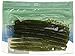 Yamamoto 9S-10-305 Senko Bait, 4-Inch, 10-Pack, Baby Bass