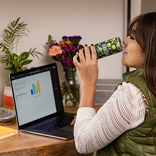 ORIGIN Sparkling Water, Lime Flavored Spring Water, 12 Fl Oz, Aluminum