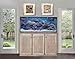 SCA 150 Gallon Aquarium Plug N Play System with Maple Wood Cabinet (Weathered Gray)thumb 1
