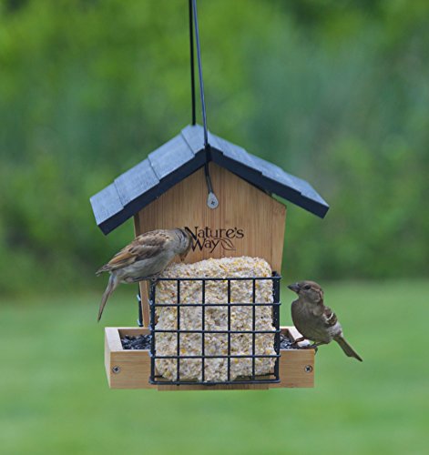 Nature's Way Bird Products 066439 Bwf28 Bamboo Hpr Feeder W/Suet