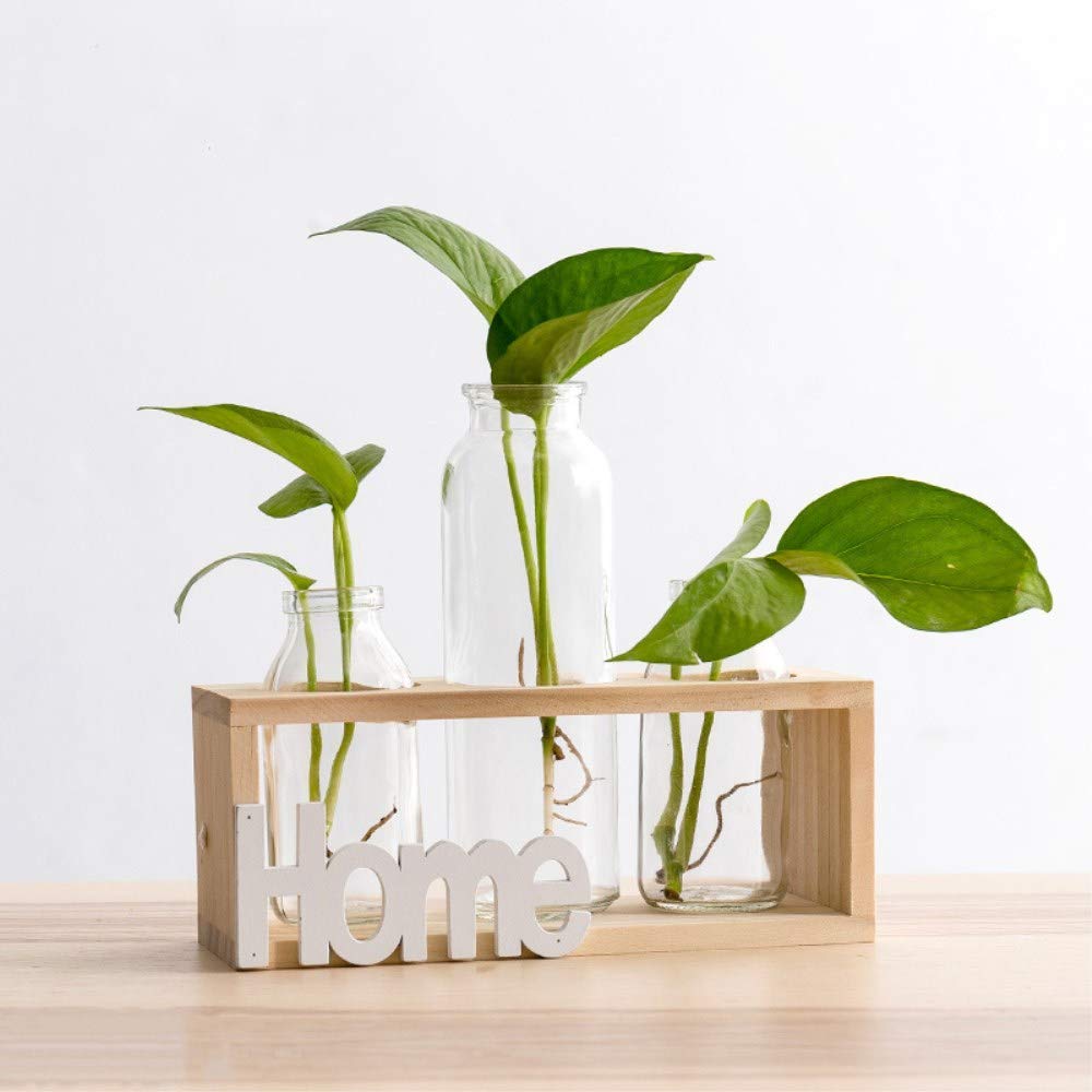 SUNRUNERS Bottel Light Glass Planter Hydroponics Terrarium with Wooden Stand for Home Office Decor Raw Wood 3 Terrarium