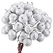 Tatuo Pack of 200 Pieces Frosted Fruit Holly Berries Mini Christmas Artificial Berry Flower for Home, Wedding, Party, Birthday, DIY Decoration (Silver)