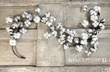 Silvercloud Trading Co. Real Cotton Boll Garland - 5ft Garland - Adjustable Stems - Farmhouse Decor - Wedding Centerpiece