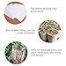 NEEDL CO 500pcs Seedling Plant Grow Bags, Biodegradable Non-Woven Nursery Bags Fabric Seeding Starting Fiber Soil Transplant Pouches Fabric Seedling Pots,Home Garden Supply 3.13.9inchthumb 4