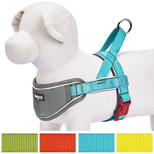 Blueberry Pet 5 Colors Soft & Comfortable 3M Reflective Strips Nylon