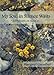 My Soul in Silence Waits: Meditations on Psalm 62 (Cloister Books) by Margaret Guenther