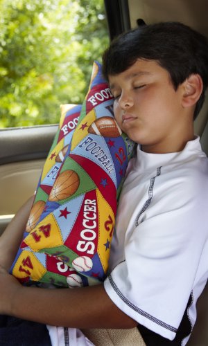 Diy Adult Seat Belt Pillow Anne S Travels