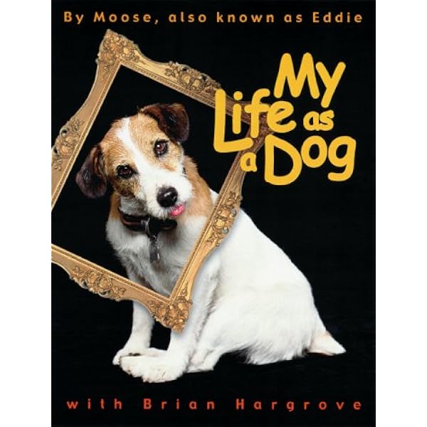 How Dogs Really Work!: Alan Snow: 9780001980587: Amazon.com: Books