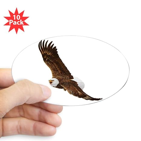 Amazoncom Sticker Oval 10 Pack Bald Eagle Flying