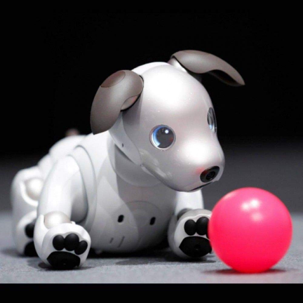 Sony Robot Dog AIBO Grows Daily And Develop Its Personality Amazon.co