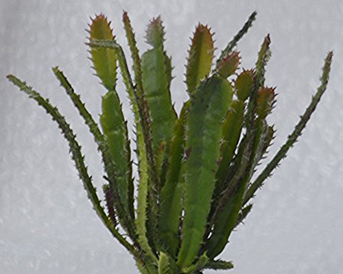 Lopkey Fake Succulent Flora Artificial Cacti Plants set of 2