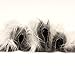 Faux Fur Fabric Long Pile Gorilla Grey Frost / 60