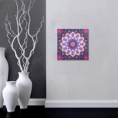 New Arrival!DEESEE(TM)Special Shaped Diamond Painting DIY 5D Partial Drill Cross Stitch Kits Crystal Rhinestone of Picture Serial Diamond Embroidery Arts Craft (C)
