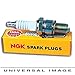 NGK Single Spark Plug 6422