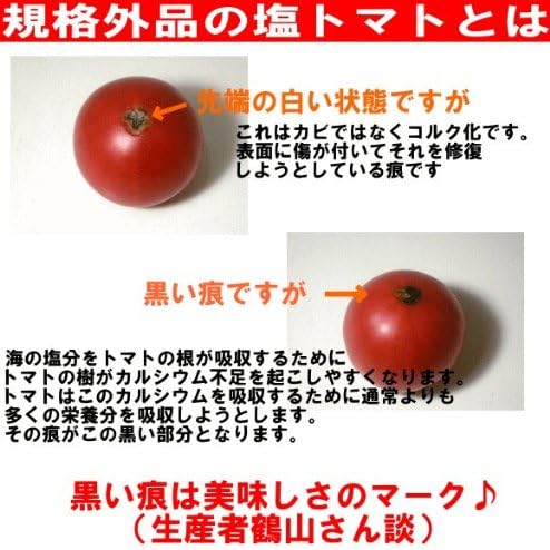 Amazon 熊本県産 丸かじり塩トマト 1kg箱 3箱入り 訳あり 塩トマト 野菜 通販 Amazon 熊本県産 丸かじり塩トマト 1kg箱 3箱入り 訳あり 塩トマト 野菜 通販