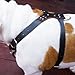 Leather Spiked Dog Harness Large Black 26