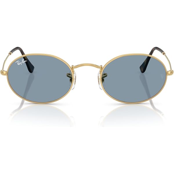 Amazon.com: Ray-Ban RB4441D Oval Sunglasses, Black/Dark Grey, 53