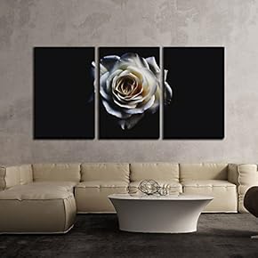 3 Piece Canvas Wall Art - White Rose in The Dark - Modern Home Art Stretched and Framed Ready to Hang - 16"x24"x3 Panels
