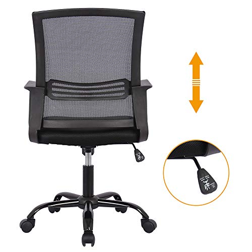 2 Standing+Converter+Riser+Adjustable+Monitors