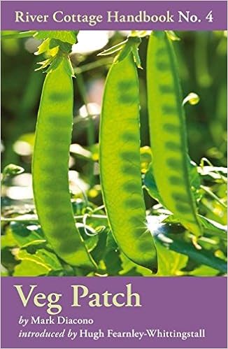 Veg Patch River Cottage Handbook No 4 Amazon Co Uk Mark Diacono