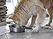 Our Pets Durapet Premium Rubber-Bonded Stainless Steel Dog Bowl 4.5 Quart, 13 Cups, 10.9