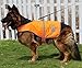 Hiado Dog Reflective Vest High Visibility Safety Jacket for Walking Running Hiking to Keep Dogs Visible Safe from Cars and Hunting Accidents Orange L