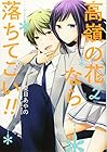 高嶺の花なら落ちてこい!! 第2巻