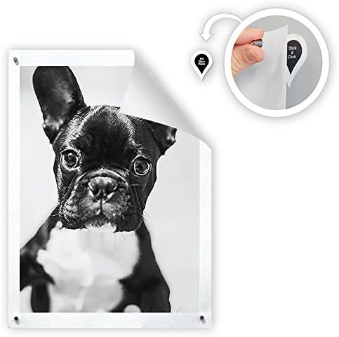 GoodHangups Damage Free Magnetic Poster and Picture Hangers Reusable Works on Any Wall As Seen On Shark Tank 8 Pack