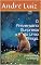 Livro O Aniversário Surpresa do Urso Amigo.