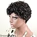 Dreambeauty 100% Brazilian Hair Full Wigs Short Curly Wigs Cheap Low Price Wig